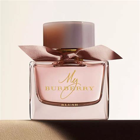 burberry pumpkin perfume|burberry perfume sephora.